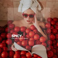 Boris Brejcha — Spicy (Feat. Ginger) — обложка